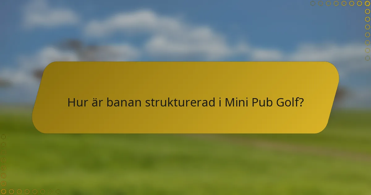 Hur är banan strukturerad i Mini Pub Golf?