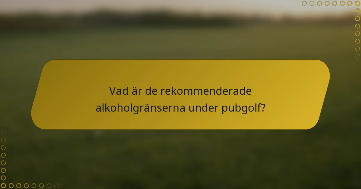 Vad är de rekommenderade alkoholgränserna under pubgolf?
