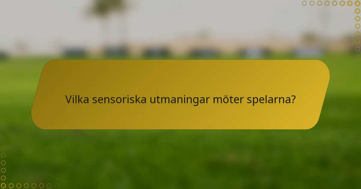 Vilka sensoriska utmaningar möter spelarna?